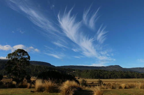 Forest Walks Lodge image 1