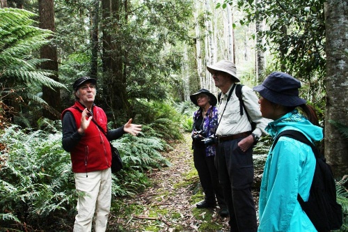 Forest Walks Lodge image 23