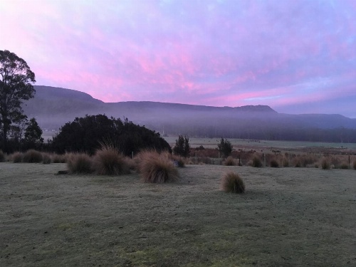 Forest Walks Lodge image 24