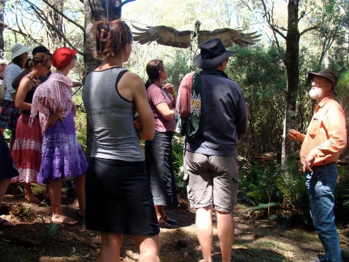 Forest Walks Lodge image 32