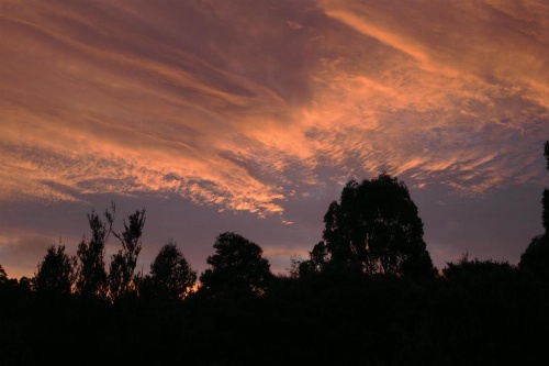 Forest Walks Lodge image 33