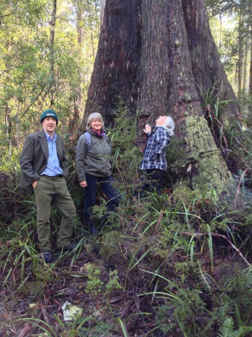 Forest Walks Lodge image 35