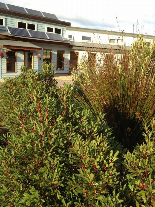 Forest Walks Lodge image 38