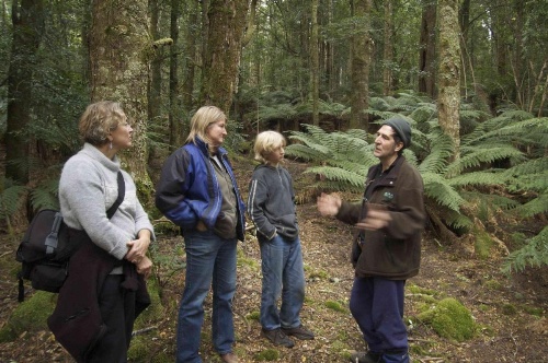 Forest Walks Lodge image 39